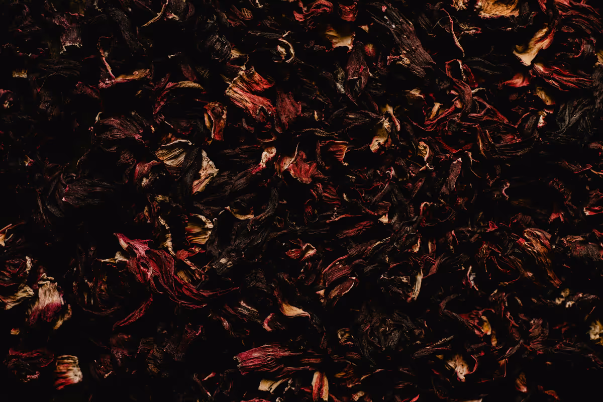 The Crimson Catalyst: Hibiscus in Practice