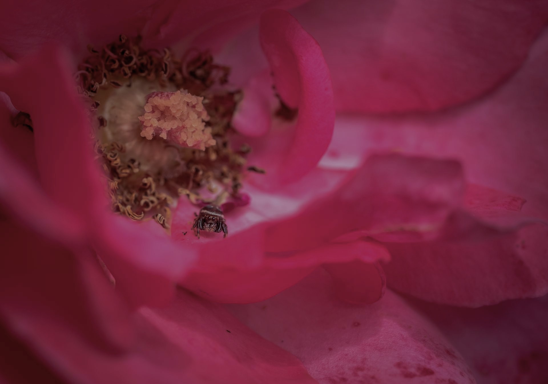 Philosophy - Plants in Rhythm